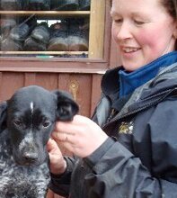 Fiona Stewart Cairngorm Sleddog